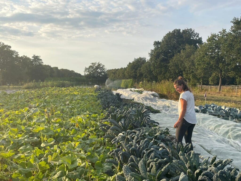 Initiatiefneemster Friese zelfoogsttuin op Food100 lijst