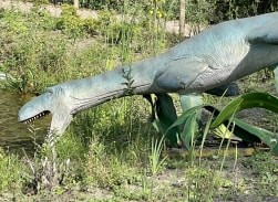 Verblijf van dinosaurussen in AquaZoo wegens succes met week verlengd