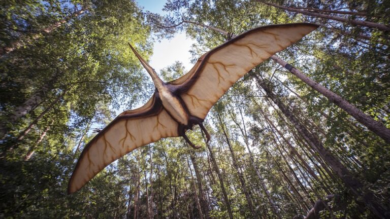 AquaZoo krijgt deze herfst weer bezoek van twintig levensechte dino's