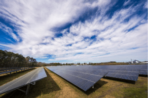 Inspiratie Agri PV: Integratie van zonne-energie in de agrarische sector