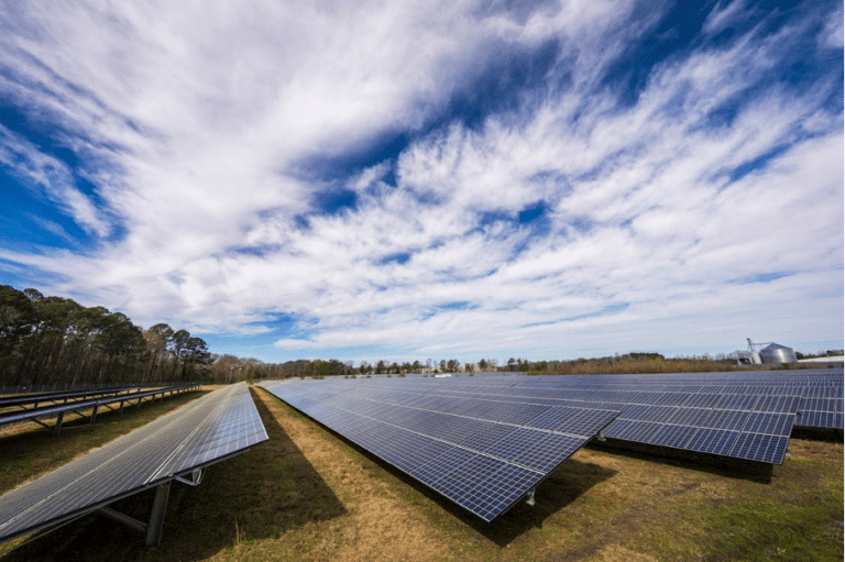 Inspiratie Agri PV: Integratie van zonne-energie in de agrarische sector