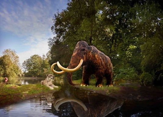 AquaZoo gaat terug in de tijd met nieuwe tijdelijke expositie: IJstijd