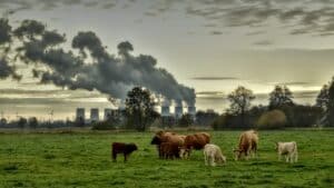 Geuroverlast in Friesland: wat zeggen de jaarverslagcijfers van het milieualarmnummer hierover?