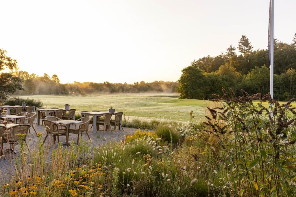 BROED4Business: Inspiratiebijeenkomst voor ondernemers die willen ondernemen mét de kracht van natuur